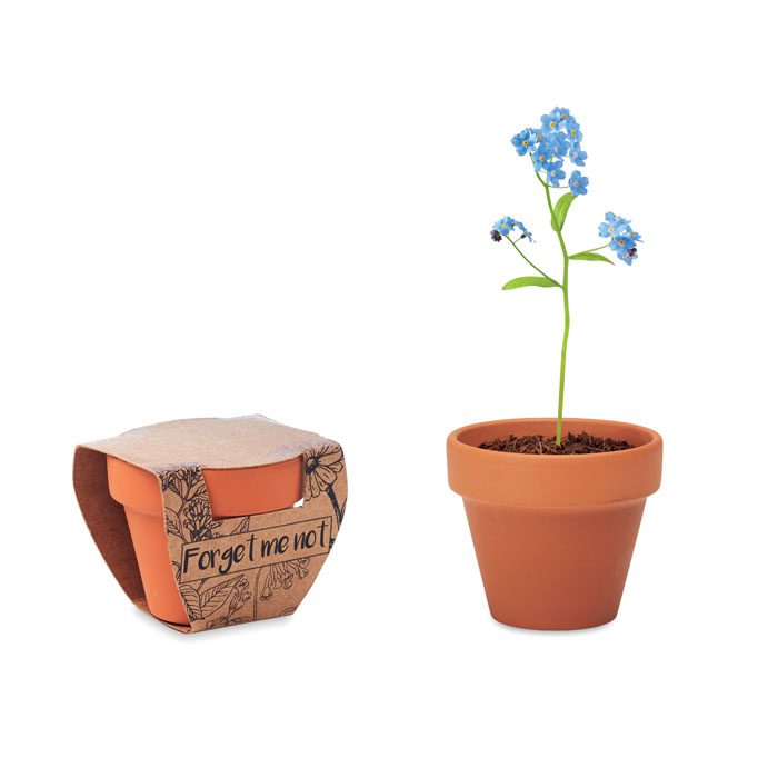 Flower in pot