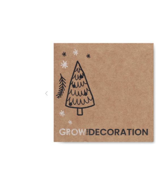 Wooden Christmas Bauble with Spruce Seeds
